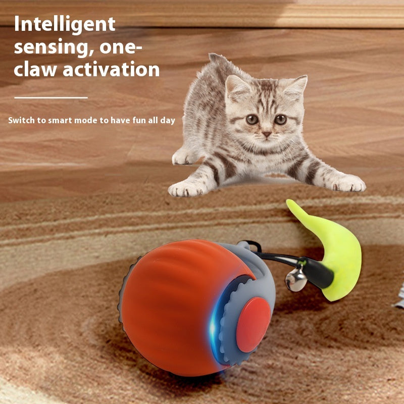 Interactive Gravity Cat Toy