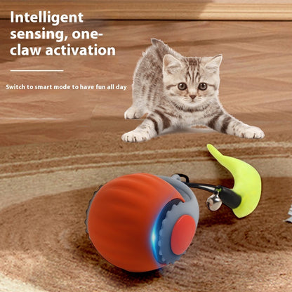 Interactive Gravity Cat Toy