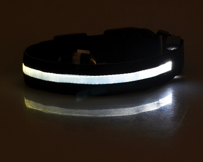 LED Safety Dog Leash