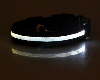 LED Safety Dog Leash