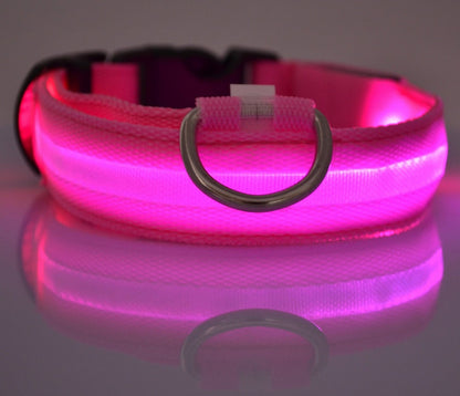 LED Safety Dog Leash