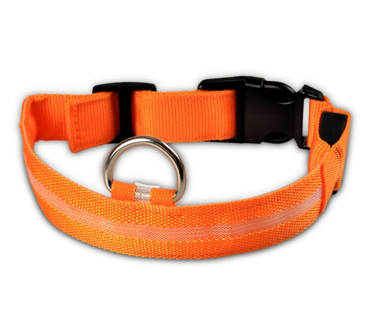 LED Safety Dog Leash