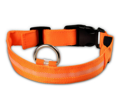 LED Safety Dog Leash