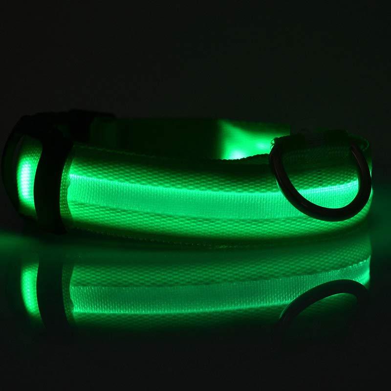 LED Safety Dog Leash