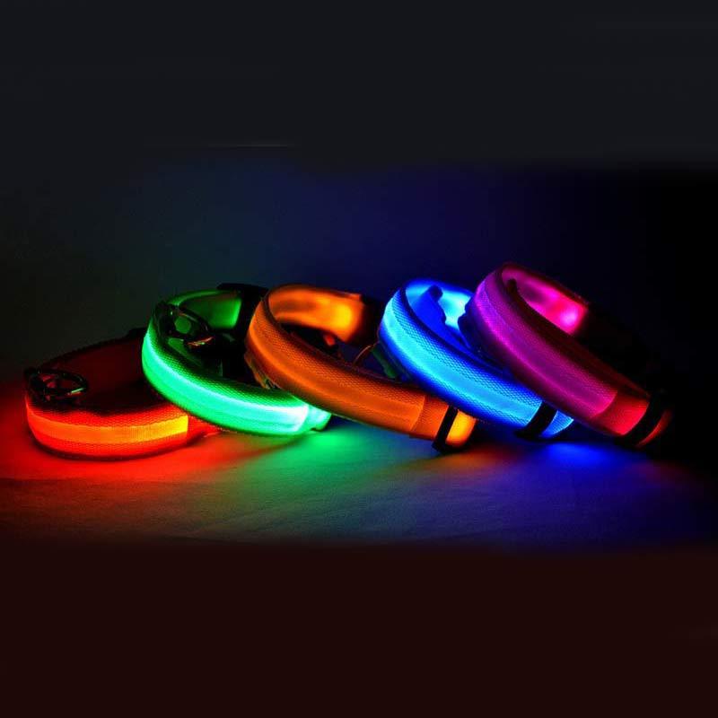 LED Safety Dog Leash