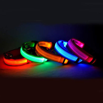 LED Safety Dog Leash