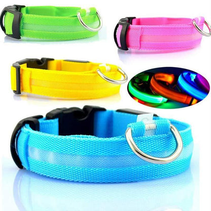 LED Safety Dog Leash