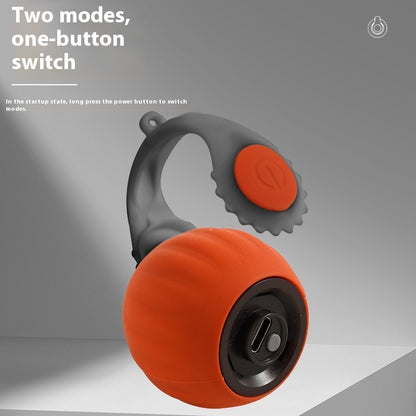 Interactive Gravity Cat Toy