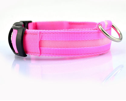 LED Safety Dog Leash