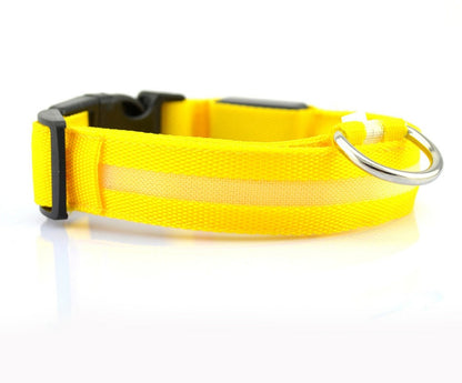 LED Safety Dog Leash