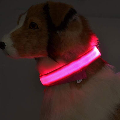 LED Safety Dog Leash