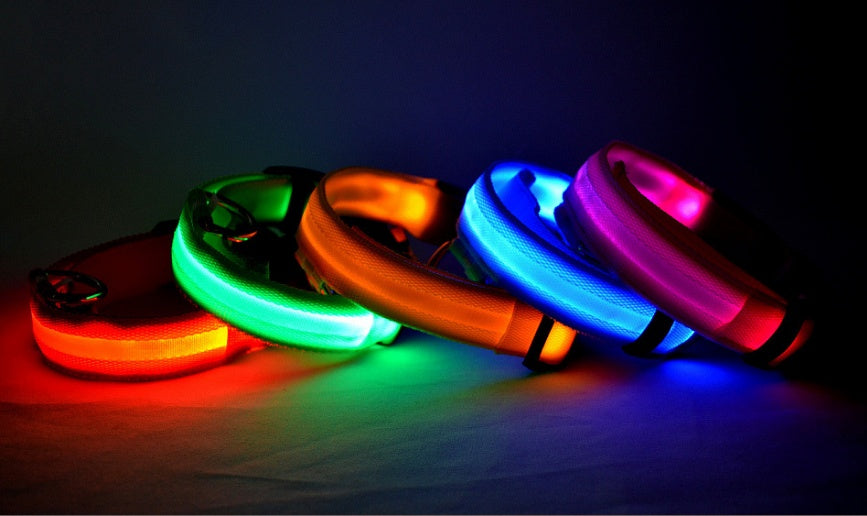 LED Safety Dog Leash