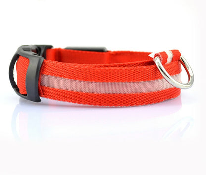 LED Safety Dog Leash