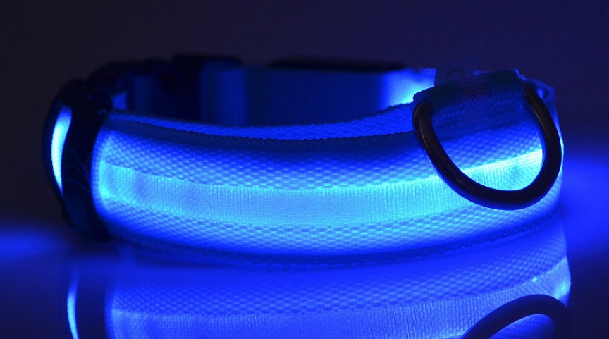 LED Safety Dog Leash