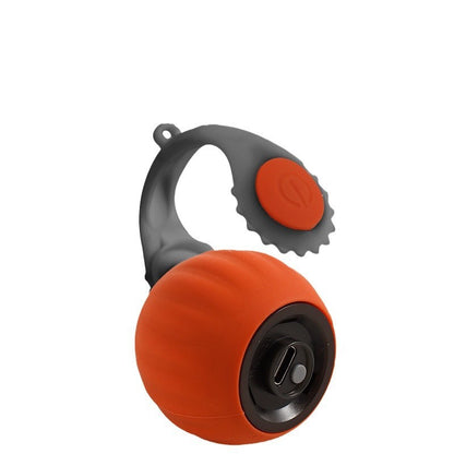 Interactive Gravity Cat Toy