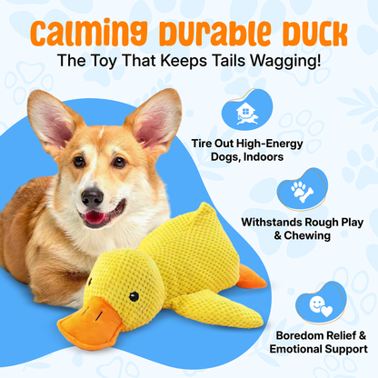 Dog Calming Duck