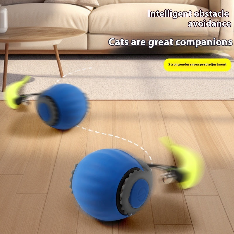 Interactive Gravity Cat Toy
