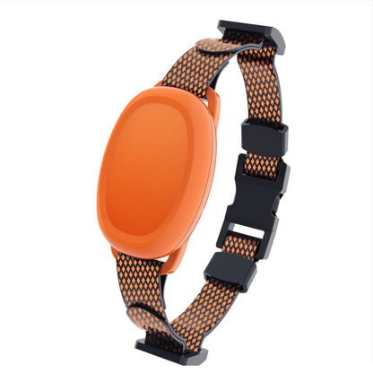 Pet Safe Shock Collar