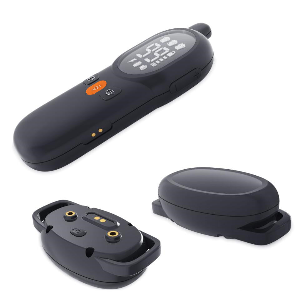 Pet Safe Shock Collar