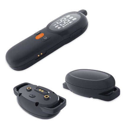 Pet Safe Shock Collar